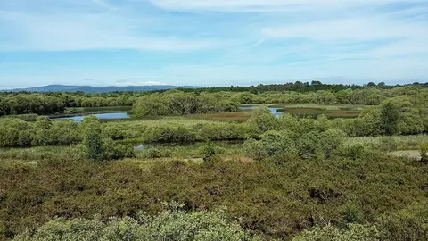 Cospeito, foto del lugar